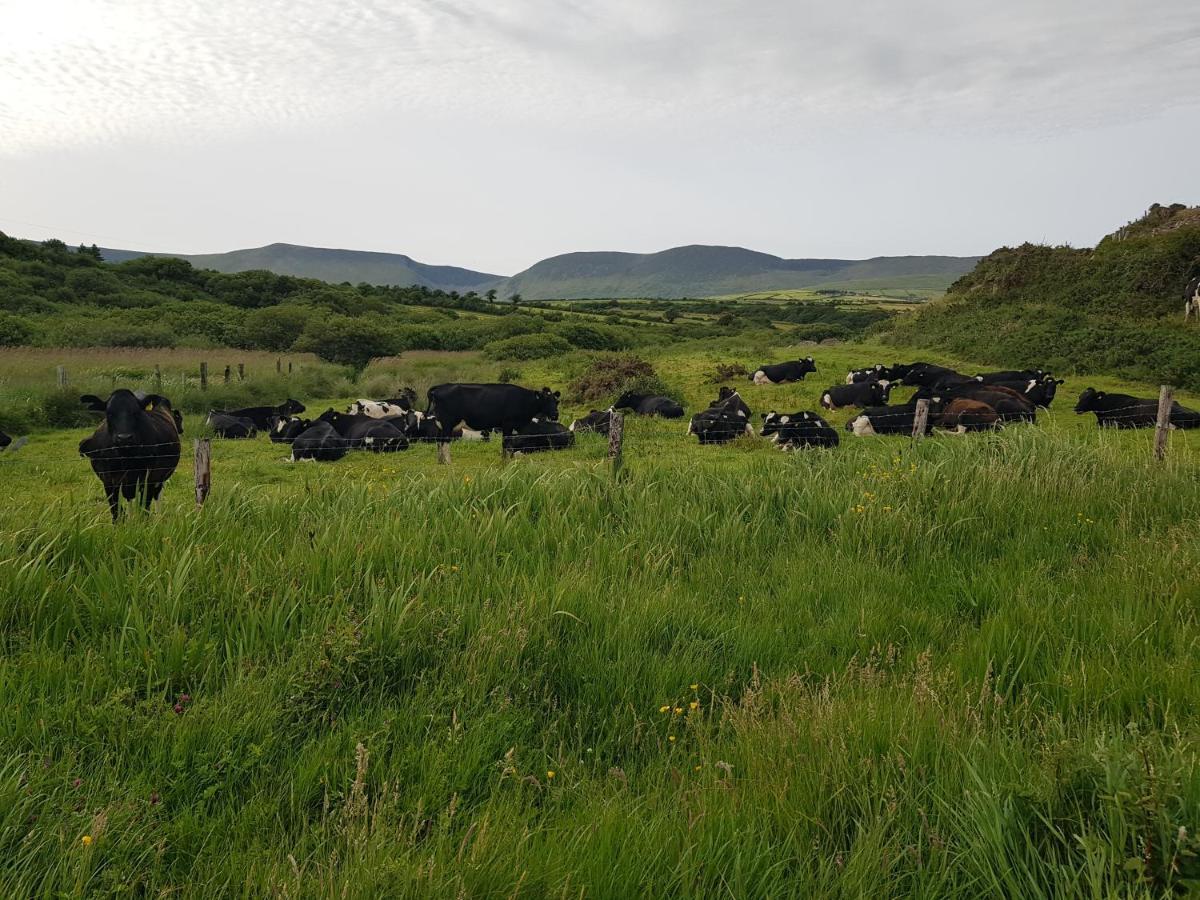 Traditional Irish Farmhouse Anascaul Екстериор снимка